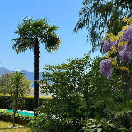 Acquazzurra, Luxury Duplex, Pool, Parking Space, Wifi By Guestaly Lejlighed *